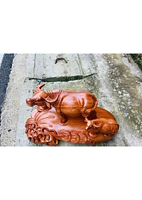product-img-4