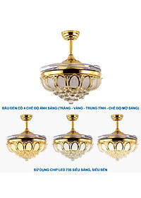 product-img-8