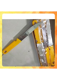 Dao Gọt Hoa Quả Kiwi Thái Lan Cán Vàng - Dao Thái Lan Bằng Thép Không Gỉ