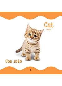 product-img-4