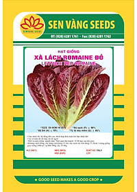 Hạt giống xà lách Romain đỏ VTS143
