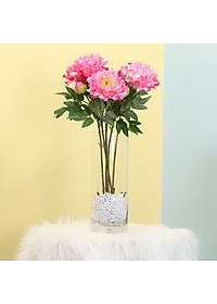 product-img-10