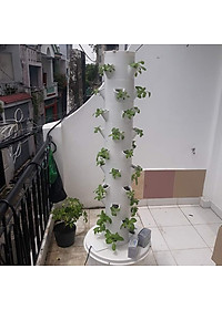 product-img-0