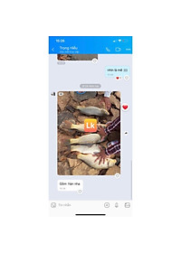 Mồi câu cá Lk Hòa | Thính Lk Câu cá chép trắm trôi siêu nhạy