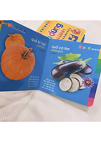 Sách: Combo Sách Bé Khám Phá Môi Trường Xung Quanh - Trọn Bộ