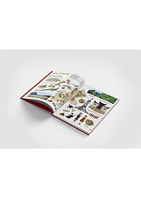 product-img-4