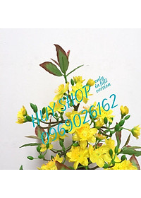 product-img-4
