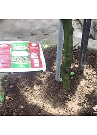 Chế phẩm sinh học    -  Chuyên cải tạo đất, thay thế phân hữu cơ, vô cơ, trị vàng lá thối rễ