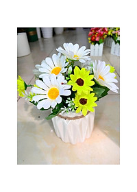 product-img-8