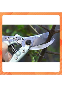 Kéo Cắt Tỉa Cành Cây Nhật Sada 210 siêu sắc bền vĩnh viễn