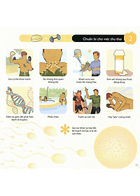 Sách Cẩm Nang Làm Bố Tuyệt Vời