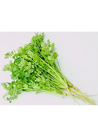 Hạt Giống Ngò Hạt Nhỏ Rado 31- Ngò Rí - Rau Mùi Ngò Ta- Dễ Trồng, Cây Sinh Trưởng và Kháng Bệnh Tốt -  Gói 20gr - RẠNG ĐÔNG, HẠT GIỐNG TỐT