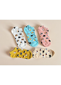 product-img-5