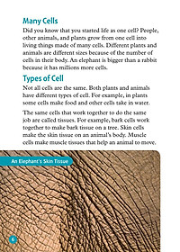 Oxford Read and Discover 6 Cells and Microbes