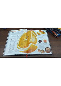 product-img-5