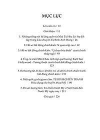 Tù binh bất đồng chính kiến: Từ nhà tù Hỏa Lò đến nước Mỹ hôm nay – Tác giả: Tom Wilber & Jerry Lembcke