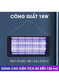 product-img-14