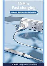 Bút cảm ứng Wiwu Pencil L Dành cho Ipad làm bằng hợp kim nhôm, thiết kế từ tính bảo vệ bút khỏi bị lăn và rơi - Hàng chính hãng