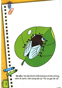 Sách Bé Tô Màu (2-6+) - Những Con Côn Trùng Bé Nhỏ - Tập 2