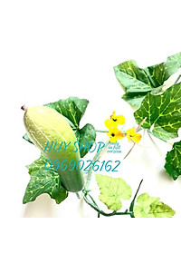 product-img-5