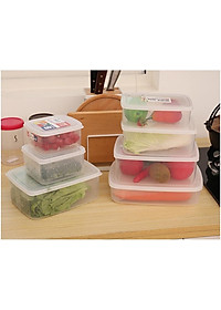 Combo 04 hộp nhựa cao cấp bảo quản thực phẩm Nakaya hình chữ nhật (Full size) - Nội địa Nhật Bản