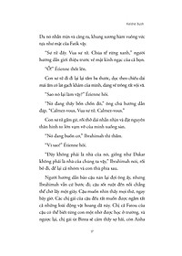 product-img-12