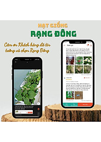 Hạt giống Dưa Hấu Rado 331 (10 hạt) trái to, dài, ruột đỏ, ngọt, kháng sâu bệnh, trồng quanh năm - Hạt giống Rạng Đông