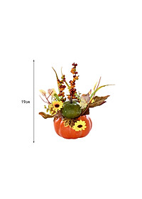 product-img-6