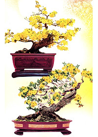 product-img-10