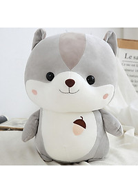 product-img-6