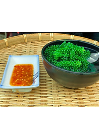 COMBO 5 túi zipper RONG NHO GREEN FOOD + tặng kèm 5 túi xốt 15ml (mỗi túi 100gram nở được 250gram tươi)