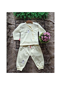 product-img-2