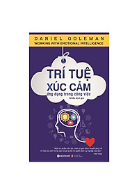 Sách Trí Tuệ Xúc Cảm Ứng Dụng Trong Công Việc (Tái Bản 2018)