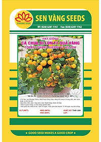 Hạt giống cà chua Bi Lùn Vàng F1 VTS136