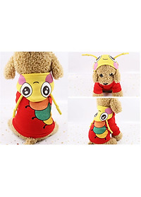product-img-5