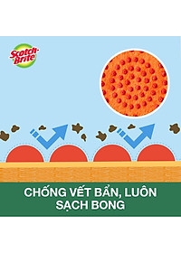 Combo 2 Miếng rửa chén hạt nổi không trầy xước Scotch-Brite 3M đa năng, mút kháng khuẩn, không bám cặn màu cam