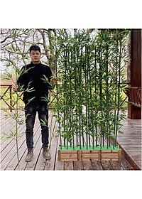 Set 10 cây trúc giả ( Loại thường) - Size từ 120cm đến 150cm - Cây giả, hoa lụa Decor trang trí nhà cửa