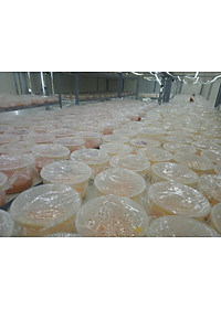 product-img-10