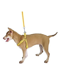 Dây dắt có yếm nhiều họa tiết dễ thương MÀU NGẪU NHIÊN