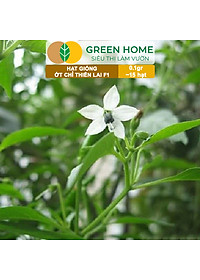 Hạt Giống Ớt Chỉ Thiên Greenhome, Gói 1gr, Sai Trái, Siêu Cay, Dễ Trồng Quanh Năm, Nảy Mầm Cao, Thu Hoạch Nhanh G10