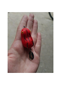 product-img-4