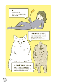 product-img-6