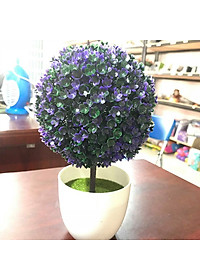 product-img-14