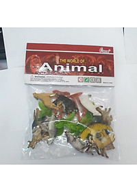 product-img-7
