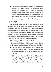 product-img-10