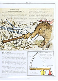 product-img-12