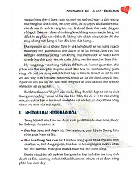 product-img-14