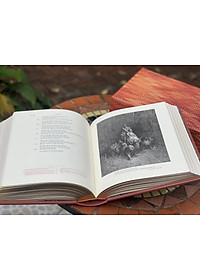 product-img-10
