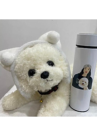 product-img-4