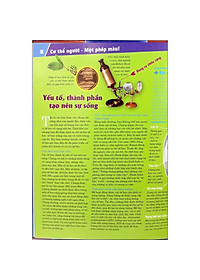 product-img-2